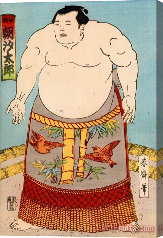 Japanese School Asashio Toro A Japanese Sumo Wrestler Stretched Canvas Print / Canvas Art