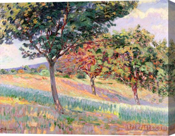 Jean Baptiste Armand Guillaumin Orchard At St Cheron Stretched Canvas Print / Canvas Art