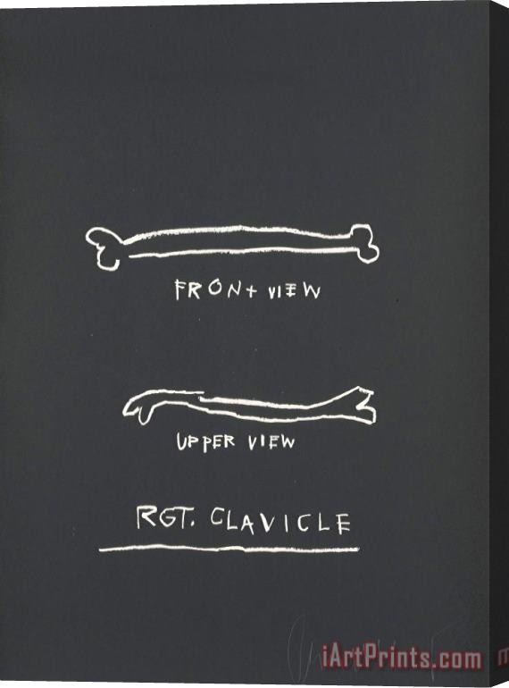 Jean-michel Basquiat Anatomy: One Plate Stretched Canvas Print / Canvas Art