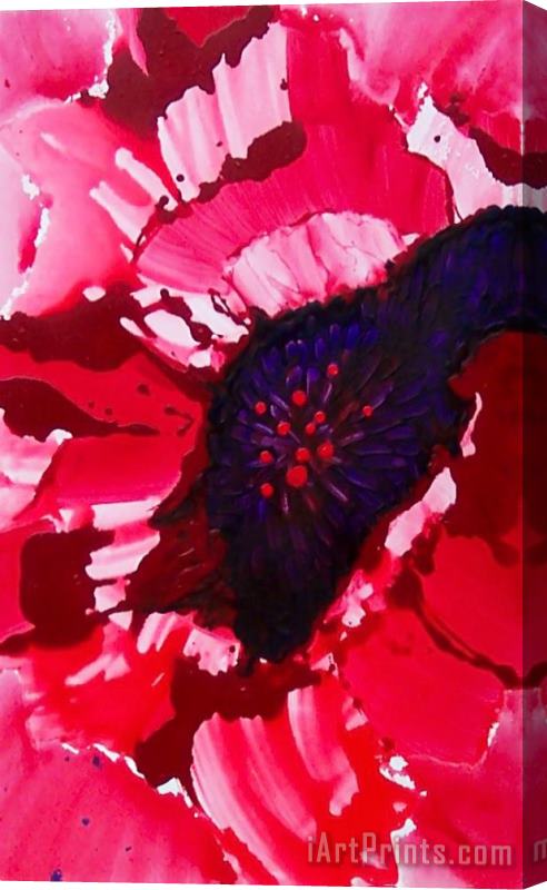 Jerome Lawrence Poppy Bloom Stretched Canvas Painting / Canvas Art