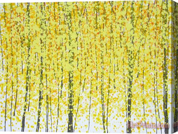 Jerome Lawrence Trees at Twilight XI Stretched Canvas Painting / Canvas Art