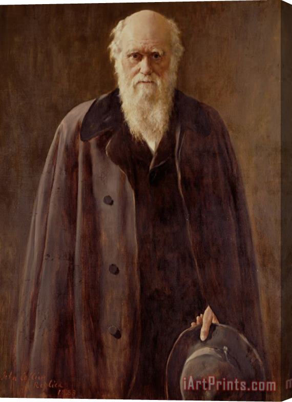 John Collier Portrait Of Charles Darwin Stretched Canvas Print / Canvas Art