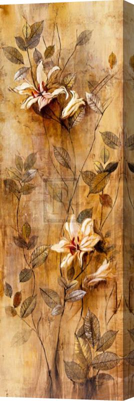John Douglas Candlelight Lilies II Stretched Canvas Print / Canvas Art