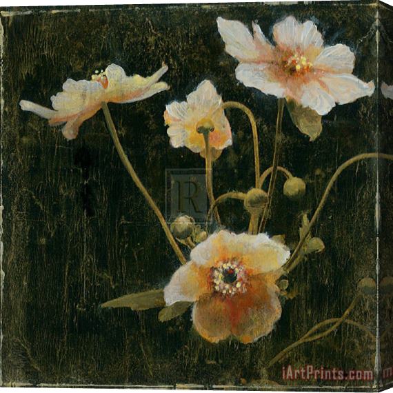 John Douglas Midsummer Night Bloom II Stretched Canvas Print / Canvas Art