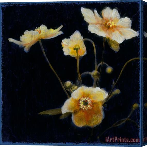 John Douglas Midsummer Night Bloom Iv Stretched Canvas Print / Canvas Art