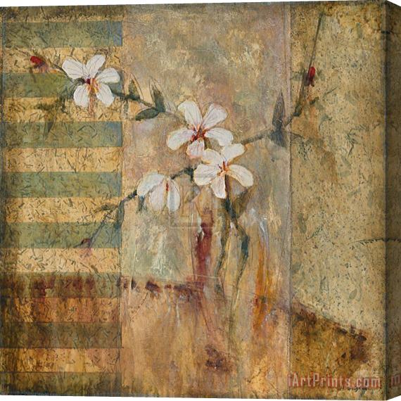 John Douglas New Bloom I Stretched Canvas Painting / Canvas Art
