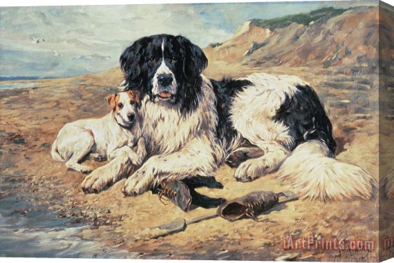 John Emms Dogs Watching Bathers Stretched Canvas Print / Canvas Art