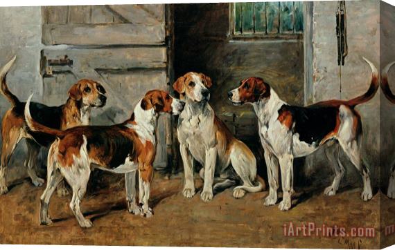 John Emms Study of Hounds Stretched Canvas Print / Canvas Art