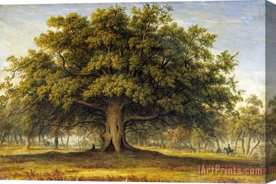 John Glover The Beggars Oak Stretched Canvas Print / Canvas Art