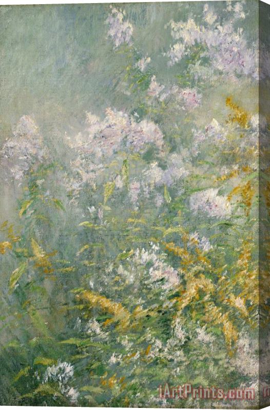 John Henry Twachtman Meadow Flowers (golden Rod And Wild Aster) Stretched Canvas Print / Canvas Art