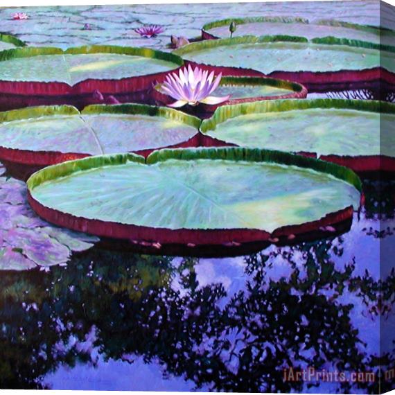 John Lautermilch Afternoon Highlights Stretched Canvas Print / Canvas Art