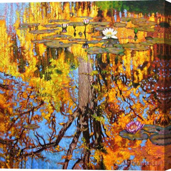 John Lautermilch Golden Reflections on Lily Pond Stretched Canvas Print / Canvas Art