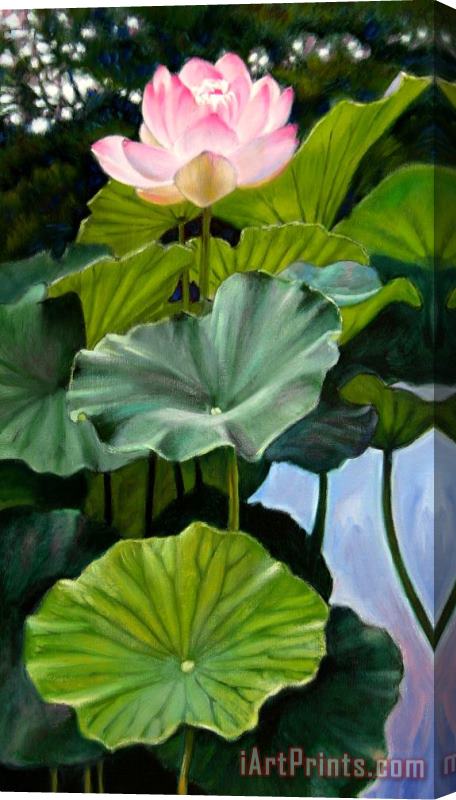 John Lautermilch Lotus Rising Stretched Canvas Painting / Canvas Art