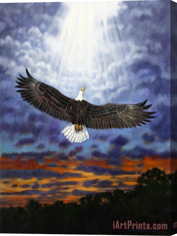John Lautermilch On Eagles Wings Stretched Canvas Print / Canvas Art