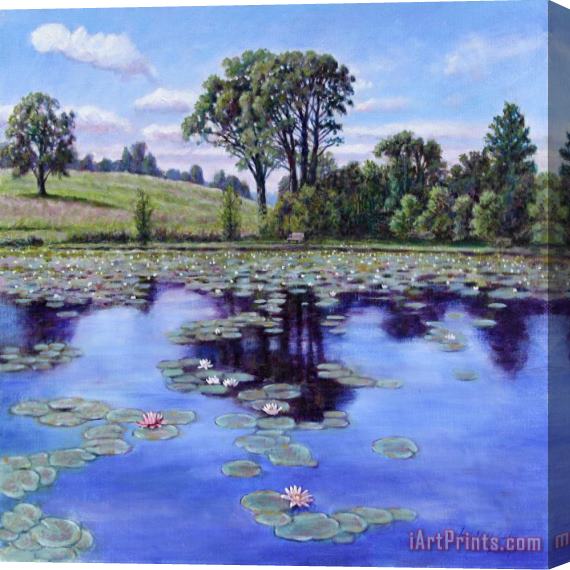John Lautermilch Wet Land - Shaw Nature Reserve Stretched Canvas Painting / Canvas Art