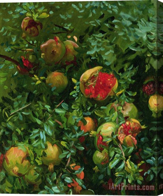 John Singer Sargent Pomegranates Majorca Stretched Canvas Print / Canvas Art