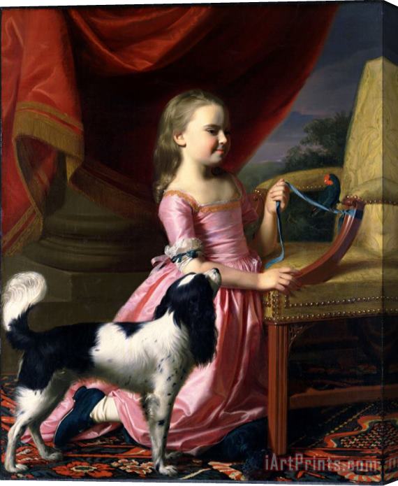 John Singleton Copley Young Lady with a Bird And a Dog Stretched Canvas Print / Canvas Art
