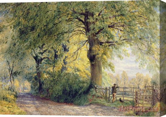 John Steeple Under the Beeches Stretched Canvas Painting / Canvas Art