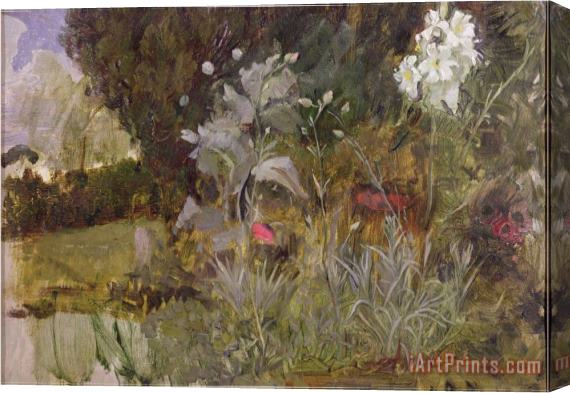 John William Waterhouse Study of Flowers And Foliage for The Enchanted Garden Oil on Canvas See 190595 Stretched Canvas Painting / Canvas Art