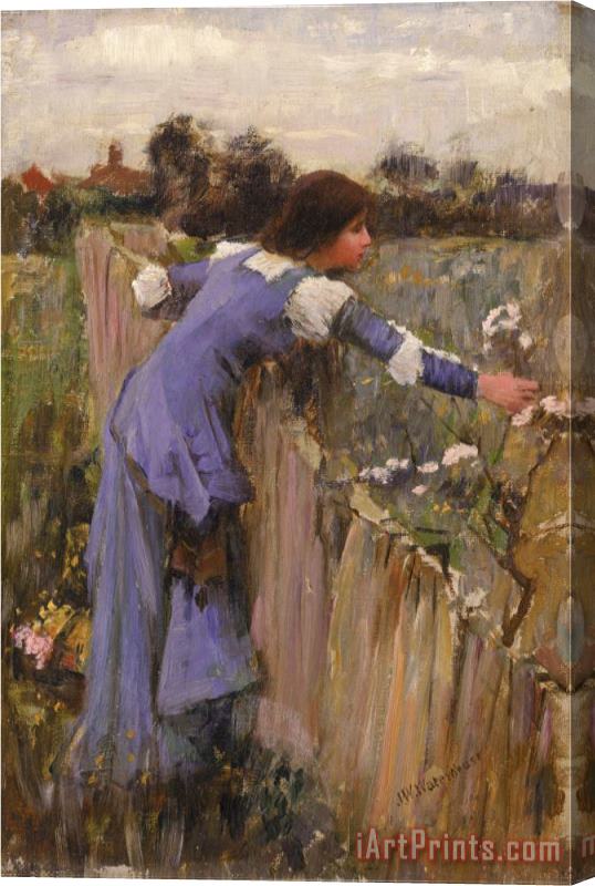 John William Waterhouse The Flower Picker Oil on Canvas Stretched Canvas Print / Canvas Art