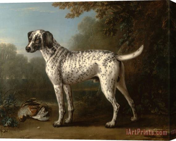 John Wootton A Grey Spotted Hound Stretched Canvas Print / Canvas Art