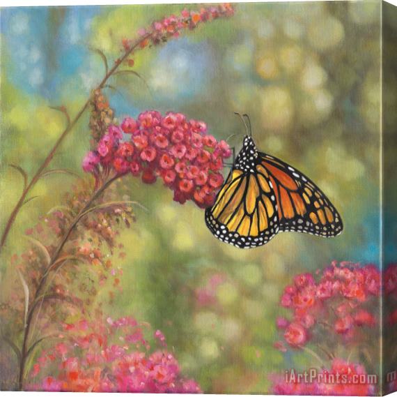 John Zaccheo Monarch Butterfly Stretched Canvas Print / Canvas Art