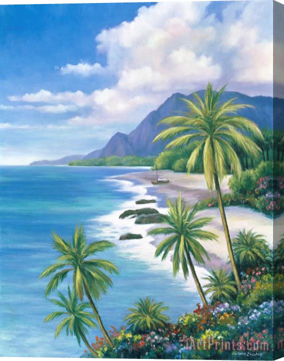 John Zaccheo Tropical Paradise 2 Stretched Canvas Painting / Canvas Art