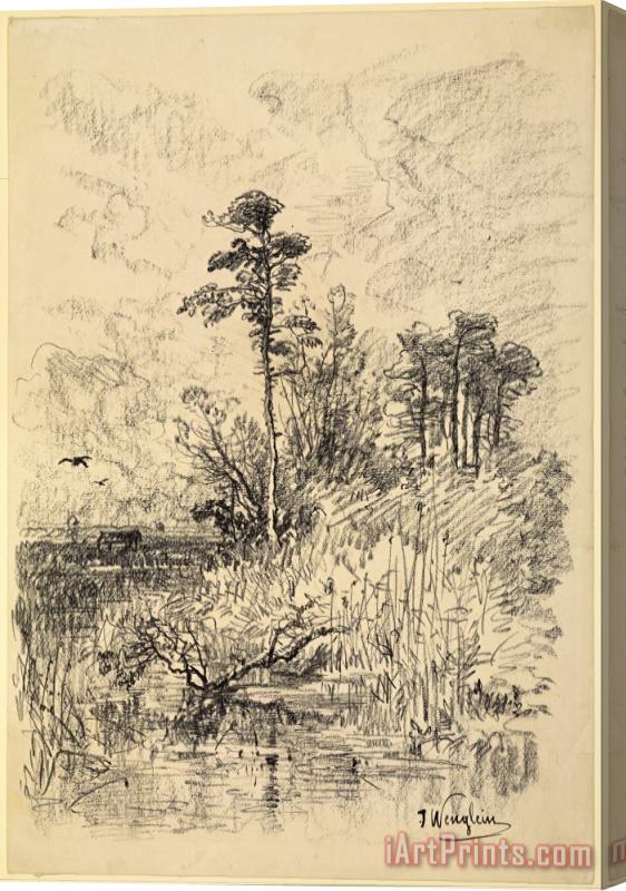 Josef Wenglein  River Landscape Stretched Canvas Print / Canvas Art