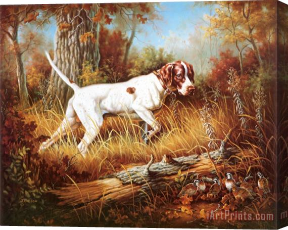 Judy Gibson Pointer with Quail Stretched Canvas Print / Canvas Art