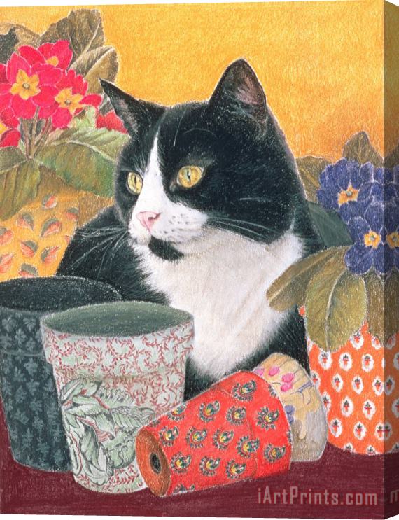 Judy Joel Bhajii And Flowerpots Stretched Canvas Print / Canvas Art