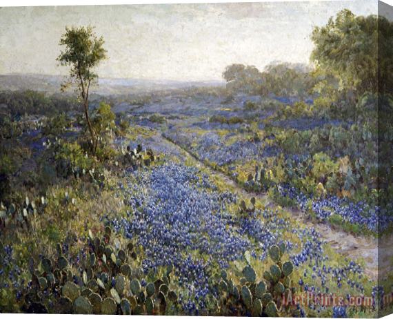 Julian Onderdonk Field of Texas Bluebonnets And Prickly Pear Cacti Stretched Canvas Painting / Canvas Art