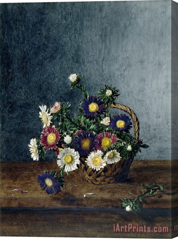 Leon Bonvin Basket of Asters Stretched Canvas Print / Canvas Art
