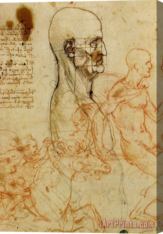 Leonardo da Vinci Anatomical Study Of A Man's Head Stretched Canvas Painting / Canvas Art