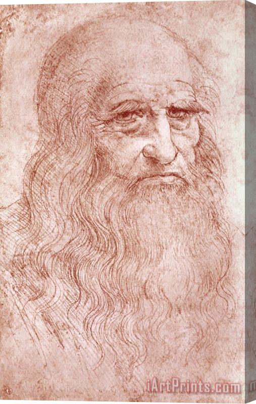 Leonardo da Vinci Portrait Of A Bearded Man Stretched Canvas Print / Canvas Art