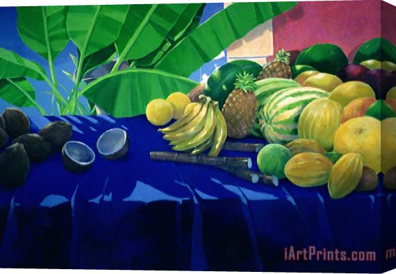 Lincoln Seligman Tropical Fruit Stretched Canvas Print / Canvas Art