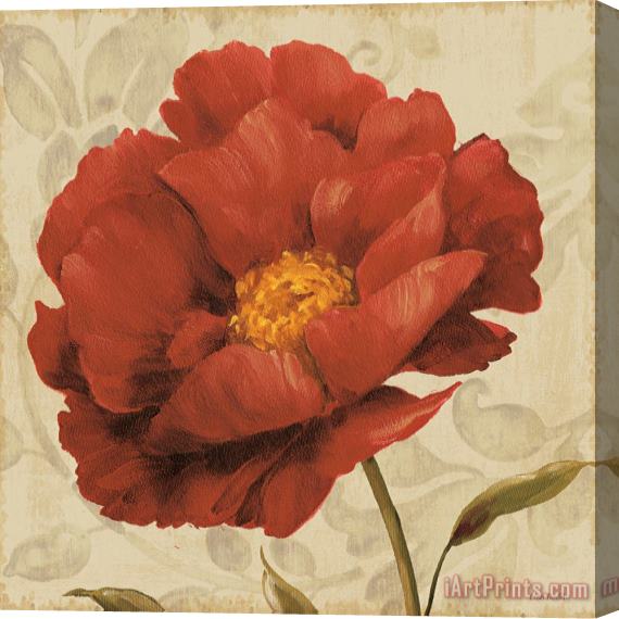 Lisa Audit Floral Romance I Stretched Canvas Painting / Canvas Art