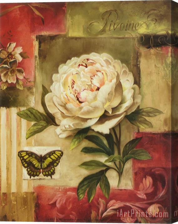 Lisa Audit Peony And Butterfly Stretched Canvas Print / Canvas Art