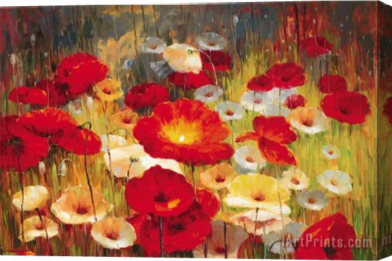 Lucas Santini Meadow Poppies Stretched Canvas Painting / Canvas Art
