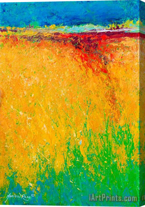 Marion Rose Abstract Landscape 1 Stretched Canvas Painting / Canvas Art