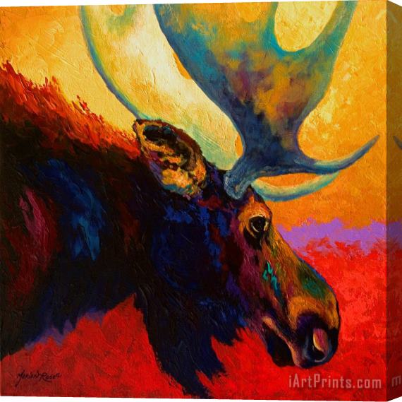 Marion Rose Alaskan Spirit - Moose Stretched Canvas Painting / Canvas Art