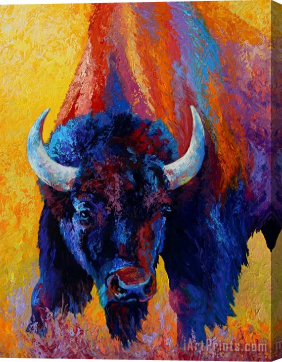 Marion Rose Back Off - Bison Stretched Canvas Painting / Canvas Art