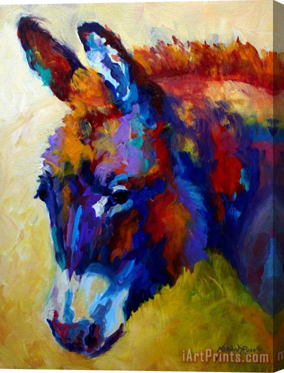 Marion Rose Burro II Stretched Canvas Print / Canvas Art