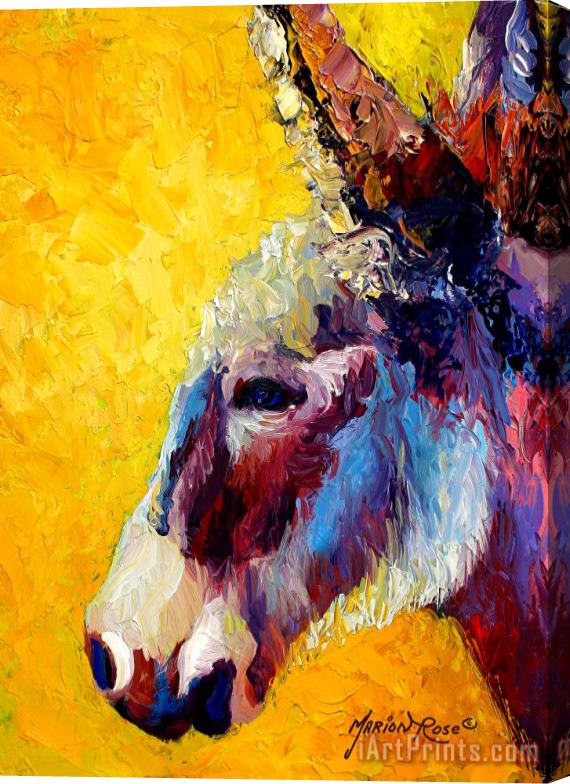 Marion Rose Burro Study II Stretched Canvas Painting / Canvas Art