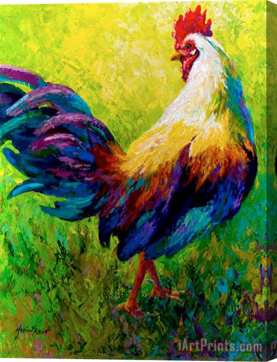 Marion Rose CEO Of The Ranch - Rooster Stretched Canvas Print / Canvas Art