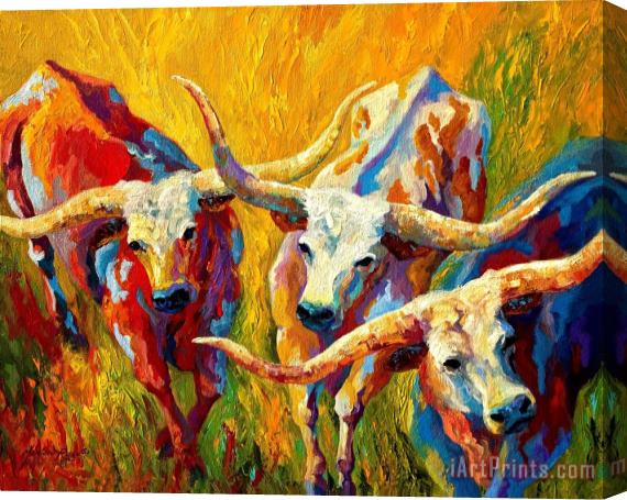 Marion Rose Dance Of The Longhorns Stretched Canvas Painting / Canvas Art