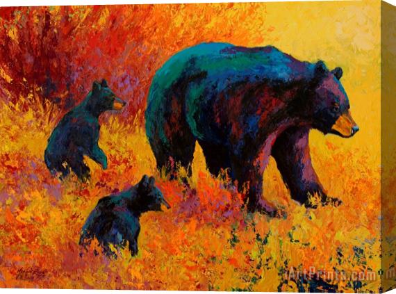Marion Rose Double Trouble - Black Bear Family Stretched Canvas Painting / Canvas Art
