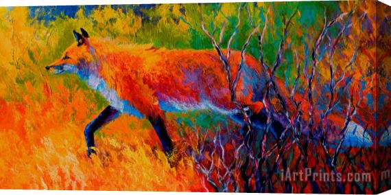 Marion Rose Foxy - Red Fox Stretched Canvas Print / Canvas Art