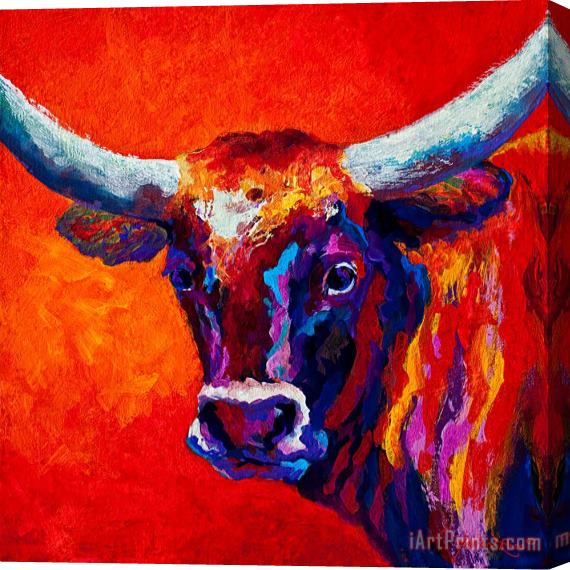 Marion Rose Longhorn Steer Stretched Canvas Painting / Canvas Art