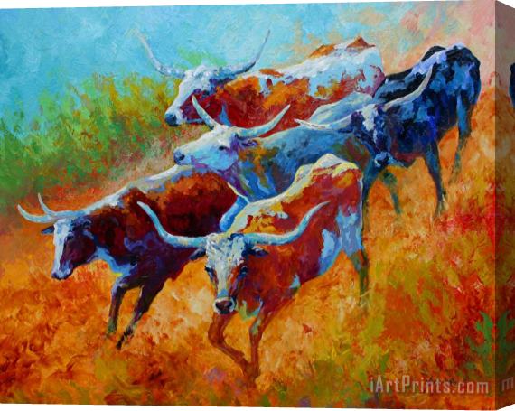 Marion Rose Over The Ridge - Longhorns Stretched Canvas Painting / Canvas Art