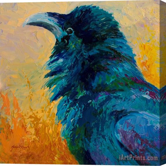 Marion Rose Raven Study Stretched Canvas Print / Canvas Art